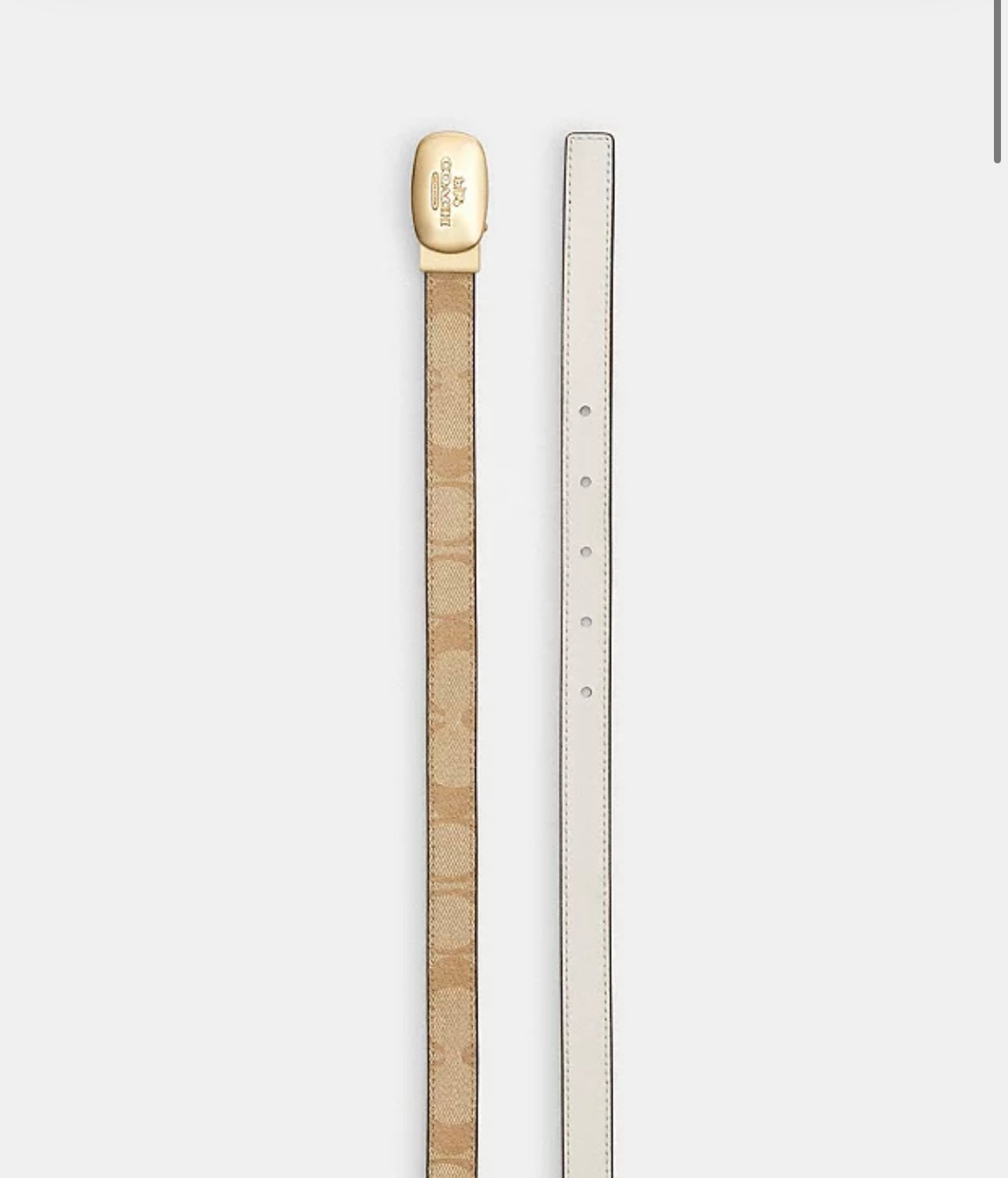 Coach belt